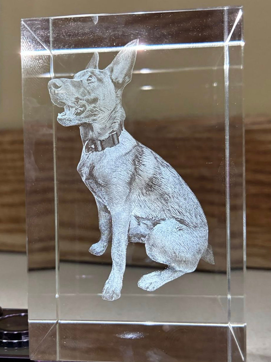 Crystal block with engraved dog design on a surface

